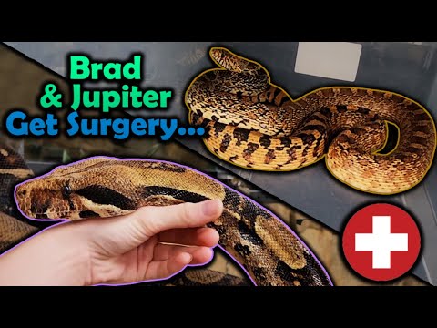 Видео: Наше самое грустное видео года...