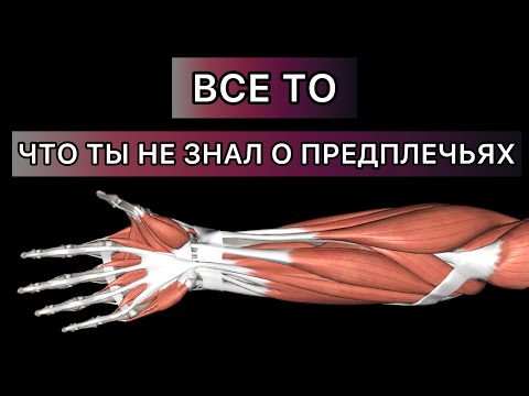 Видео: ВСЕ ТО, ЧТО ТЫ НЕ ЗНАЛ О ПРЕДПЛЕЧЬЯХ|РАЗМЕР≠СИЛА|СВЯЗКИ И СУХОЖИЛИЯ