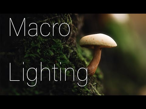 Видео: Учебное пособие по освещению в макросъемке: оборудование, настройки и идеи для создания потрясающ...