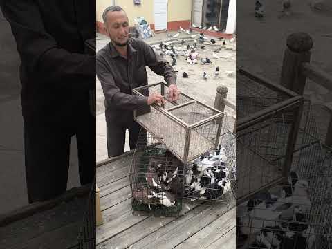 Видео: 28 октября 2025 г.