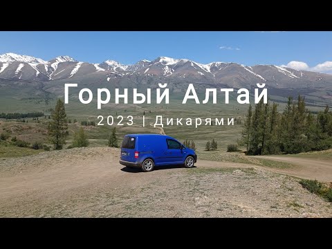 Видео: Горный Алтай Дикарями июнь 2023. Автопутешествие. Van life.