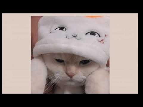 Видео: 💕🌸~[Slowed down:ты мой кислород]~💕🌸{чит. Оп}