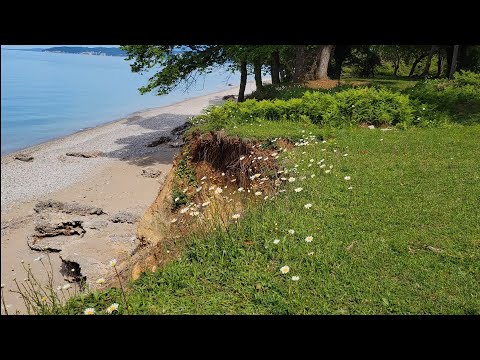 Видео: Абхазия🌏День6️⃣🏁Бамбора - Гудаута - 🚩Приморское