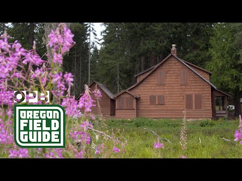 Видео: В поисках тропы «Скайлайн» в Орегоне | Путеводитель по Орегону | OPB