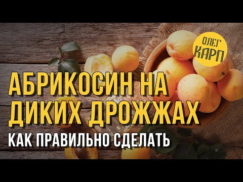 Видео: Абрикосин на диких дрожжах. Как правильно сделать, чтоб был гарантированный результат. // Олег Карп