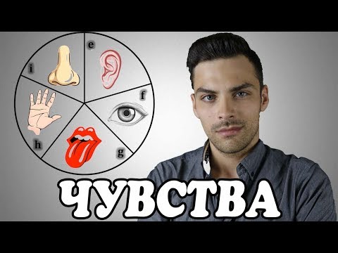 Видео: 10 ИНТЕРЕСНЫХ ФАКТОВ ПРО ЧУВСТВА И ОЩУЩЕНИЯ