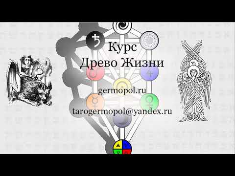 Видео: Курс "Древо Жизни"