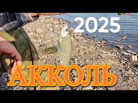 Видео: ВОТ ЭТО РЫБАЛКА🔥! ПОЕХАЛИ на  АККОЛЬ ЗА ВОБЛОЙ🍞🎣