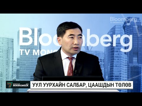 Видео: Б.Дашпүрэв: Чухал ашигт малтмалын жагсаалтыг баталж, зарлахад анхаарч байна