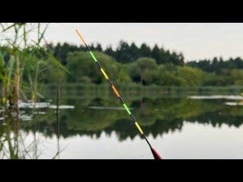 Видео: ВЫХОД ЛИНЯ РАННИМ УТРОМ!!РЫБАЛКА НА ПОПЛАВОК В ИЮЛЕ.РЫБАЛКА НА ЛИНЯ.РЫБАЛКА 2025