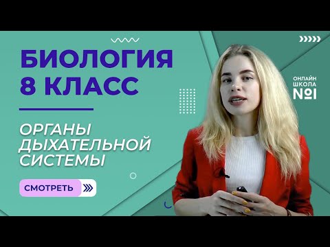 Видео: Значение дыхания. Органы дыхательной системы. Урок 18. Биология 8 класс