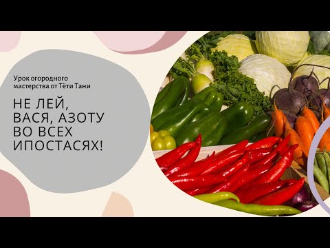 Видео: Не лей АЗОТУ Вася, во всех ипостасях!