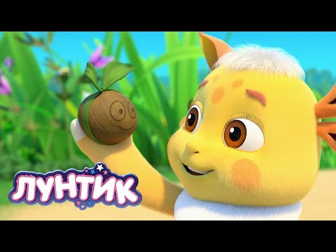Видео: Лунтик | Загадочный цветок 🌼🌼🌼 557 серия