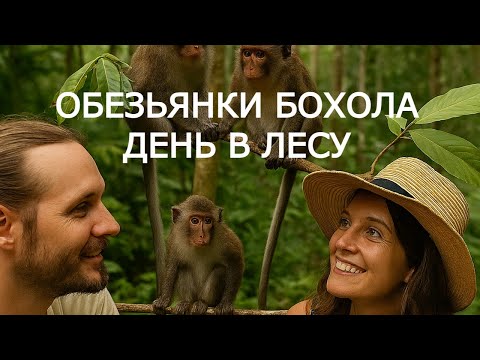 Видео: Смотрим обезьянок на Бохоле