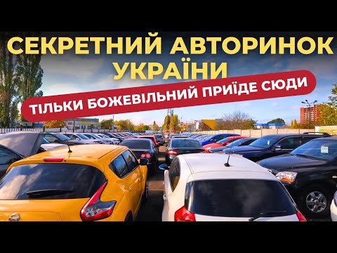 Видео: Є СЕКРЕТ Машини треба ганяти не з Луцька чи Львова #авторинок #автобазар