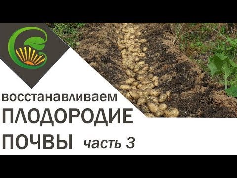 Видео: Как я сделала почву плодородной. Часть 3.