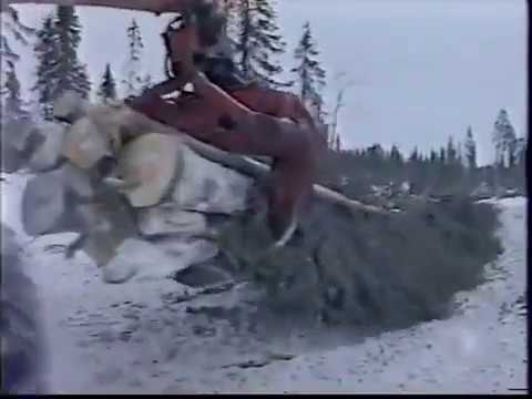 Видео: Юбилей леспромхоза которого уже НЕТ Светлозерсклес (АРХИВ)