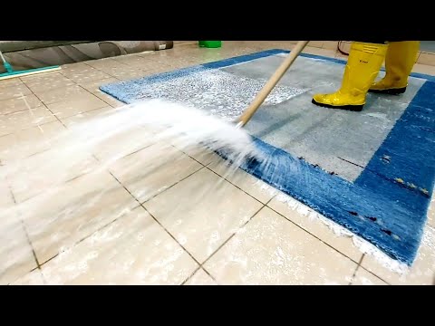 Видео: Избранное за 2 недели: подборка полосканий Октябрь 2021 ч.1/ Rinsing compilation October, 2021, p.1