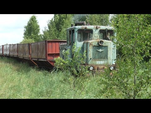 Видео: Болоньский процесс. РВ ТВ