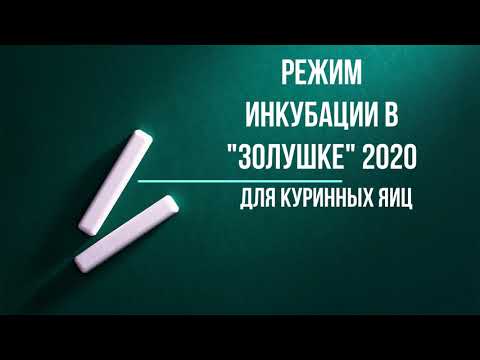 Видео: Режим инкубации в "Золушке" 2020 куриных яиц