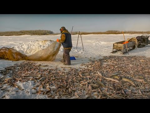 Видео: Какую рыбу ловят ненцы | Факты