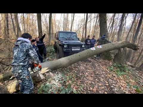 Видео: Гелентваген , Чероки , УАЗы, Нивы а так же квадроциклы в лютом бездорожье