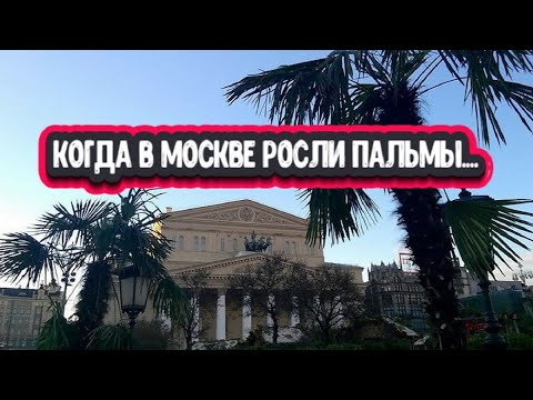 Видео: Катастрофа о которой не знают историки и Председатель! Недосказанное...