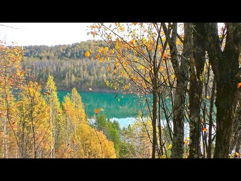 Видео: Зелёное озеро