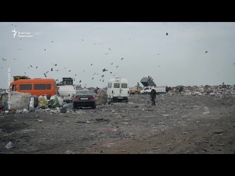 Видео: Дордойдогу додолошкон жашоо