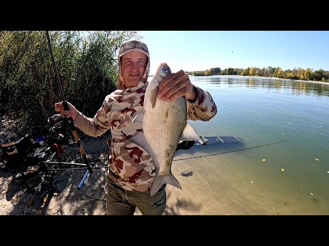 Видео: Отлично половили на фидер. Лещ и рыбец