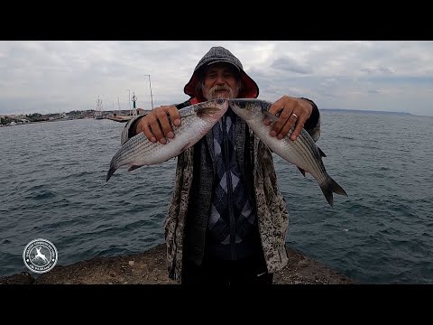Видео: Nea Poteidaia, Nea Moudania fishing in Greece,  majstorite gi otkrivaat tajnite - kraj #риболов