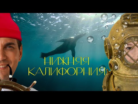 Видео: Баха Калифорния самостоятельно. Свидание с китами