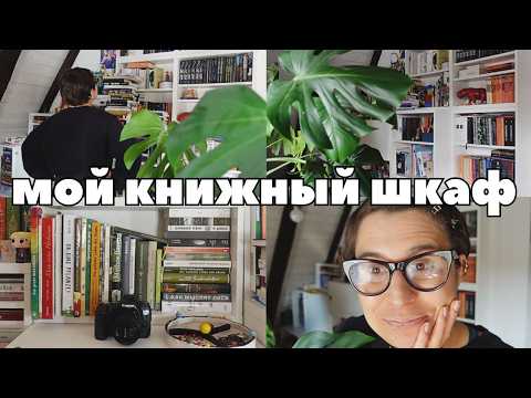 Видео: Навожу порядок в книжном шкафу 📚 Философия и немного хаоса
