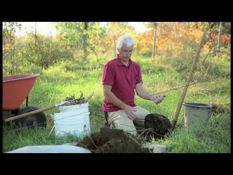 Видео: Пермакультурный  сад Собковиака 04