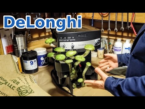 Видео: Запах плесени и гнили в кофеварке