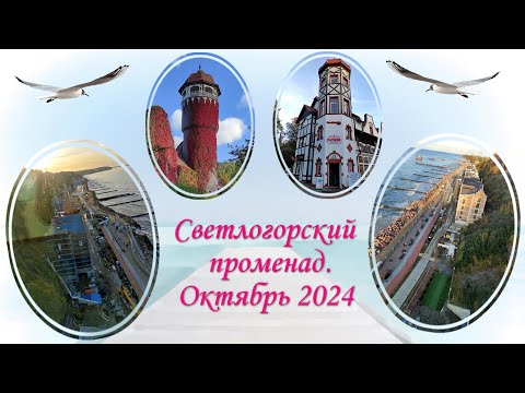 Видео: Светлогорский променад. Октябрь 2024