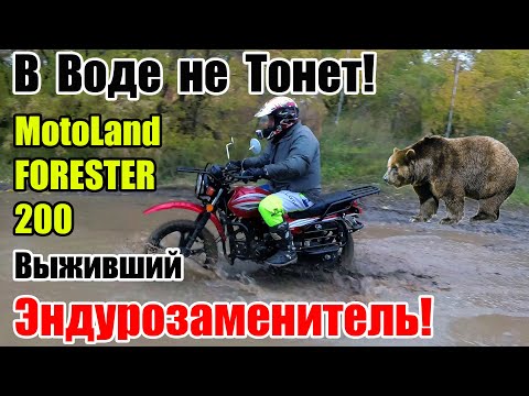 Видео: MotoLand FORESTER 200 2021г. Бюджетней самого дешевого эндуро! Review and test drive universal moto