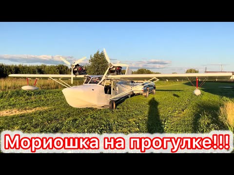 Видео: Морион. Взвешивание. Первый выезд!