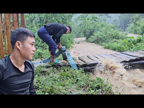 Видео: Нам пытается удержаться за мост, пока вода поднимается.