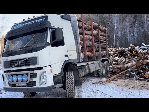 Видео: Вольво лесовоз. Высокая гора 🏔️