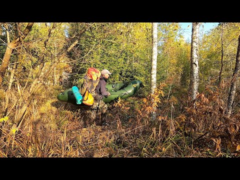 Видео: Осенняя экспедиция на лесные озера (2 ЧАСТЬ)