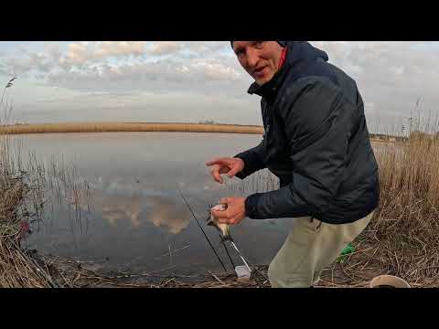 Видео: Riga, Vecdaugava. Херабуна топ по лещу.#lifeasitis #fishing #herabuna #рыбалка #лещ #херабуна #fish