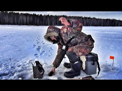 Видео: ТАНК ПРЁТ - ЛЕСКА ТРЕЩИТ! БЕЗМОТЫЛКА