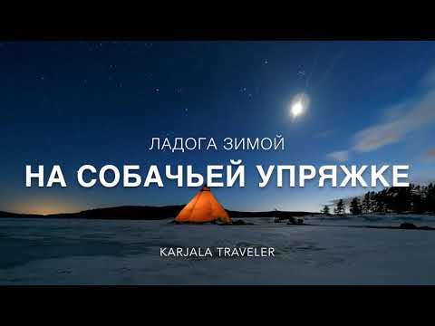 Видео: Карелия зимой на собачьей упряжке