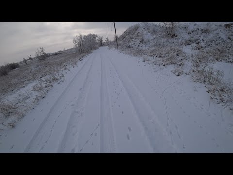 Видео: Охота на зайца 2024 г. " Проспал"