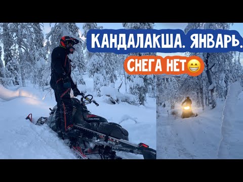 Видео: Кандалакша. Снегоходы. Январь 2023. Снега нет.