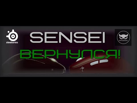 Видео: Steelseries Sensei Superlight 2024 или просто Waizowl Cloud