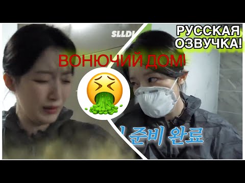 Видео: ТУТ ВОНЯЕТ! ТУТ ВООБЩЕ КТО ТО ЖИЛ? ШУХУА УБИРАЕТСЯ В ЧУЖОМ ДОМЕ!🔥 | Русская Озвучка