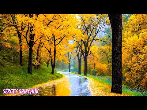 Видео: Гуляет Осень в тишине — лучшая песня про осень🍂 Последняя музыка Сергея Грищука.