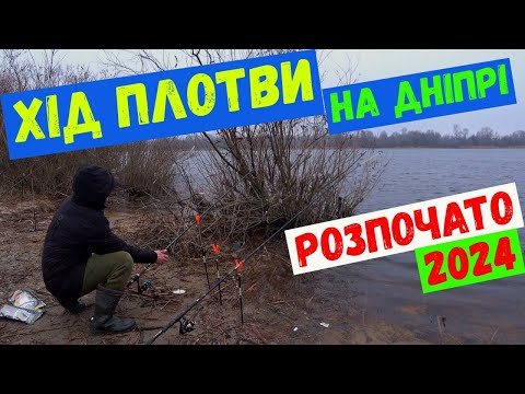 Видео: Хід плотви на Дніпрі 2024  #риболовля #плотва #фідер